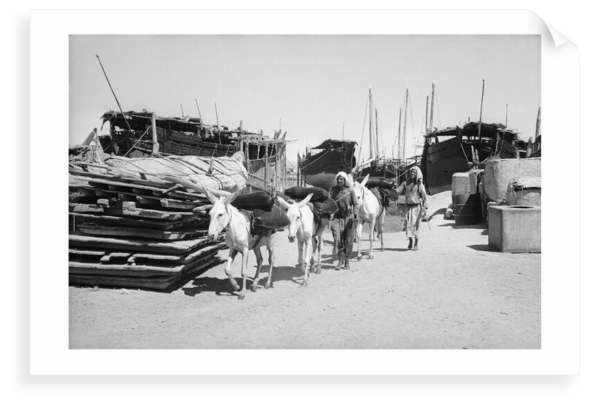 Water donkeys carry full goatskins into town by Alan Villiers