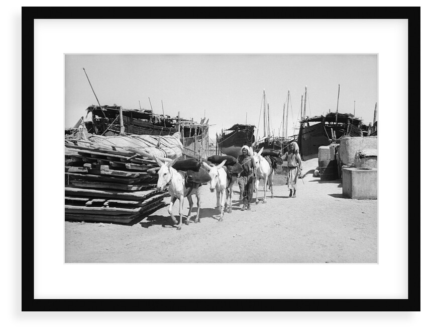 Water donkeys carry full goatskins into town by Alan Villiers