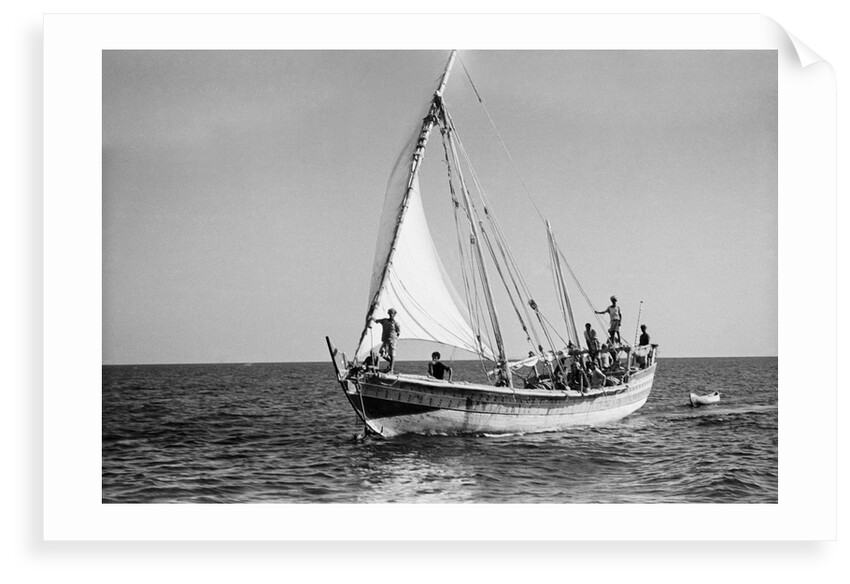 The 'Sheikh Mansur' under sail by Alan Villiers