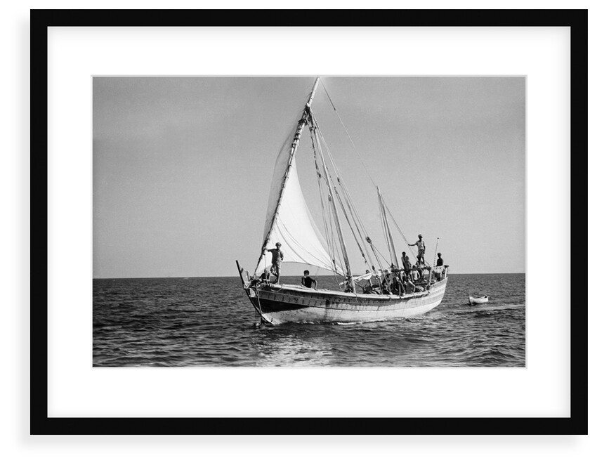 The 'Sheikh Mansur' under sail by Alan Villiers