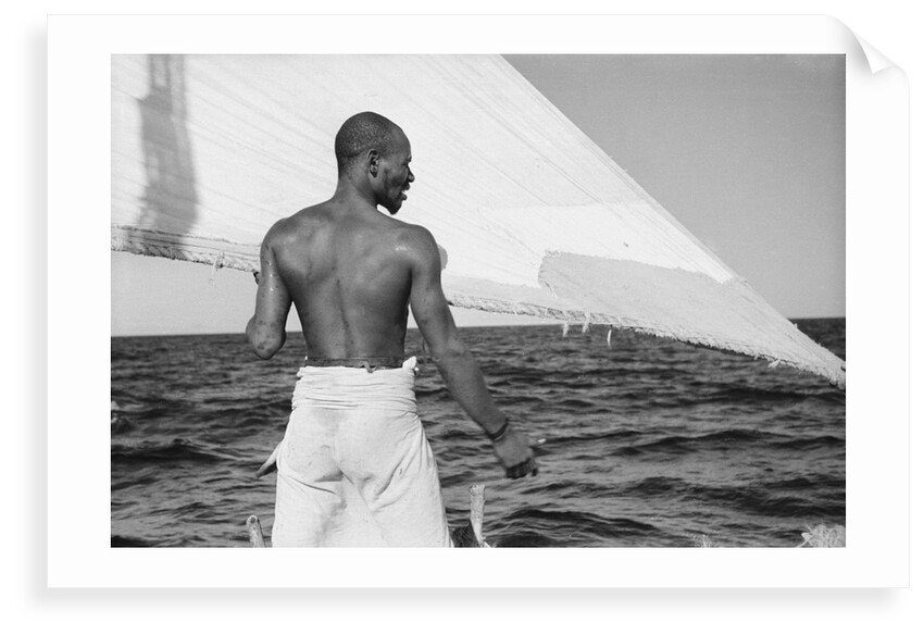 A sailor of the 'Sheikh Mansur' keeps and eye on the sail by Alan Villiers