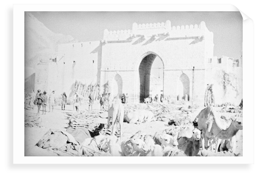 Mukalla West Gate camel park by Alan Villiers