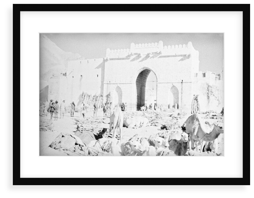 Mukalla West Gate camel park by Alan Villiers