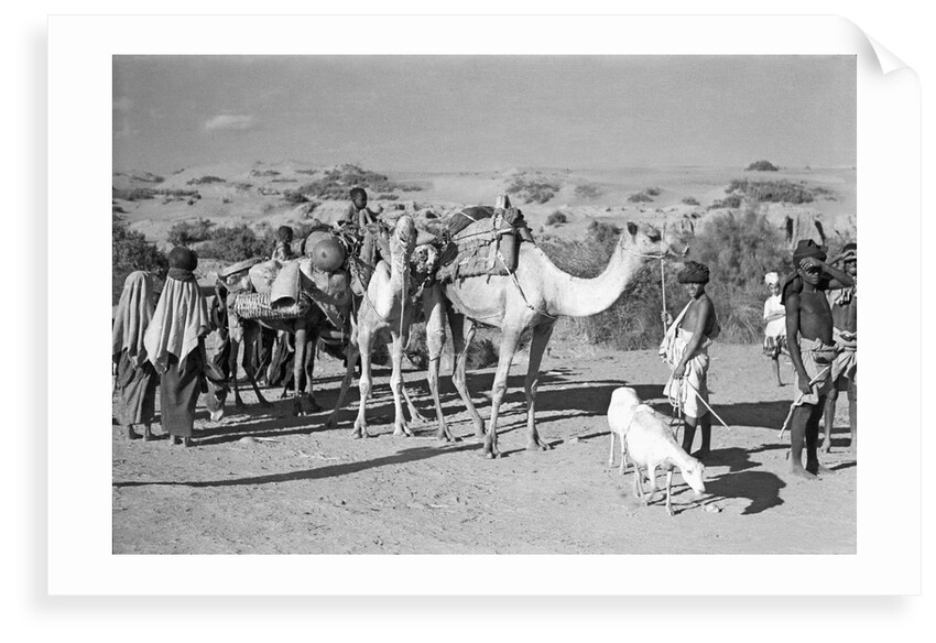 Prospective boom passengers headed for Mukalla by Alan Villiers