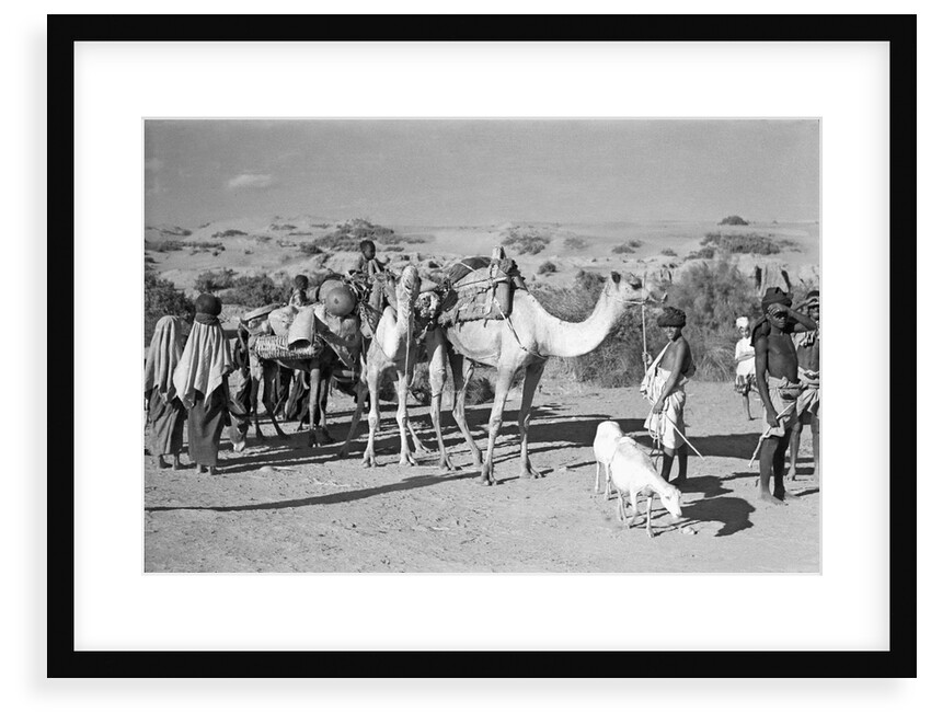Prospective boom passengers headed for Mukalla by Alan Villiers
