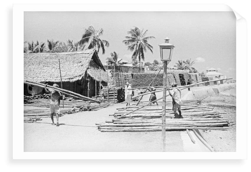 Lamu waterfront by Alan Villiers