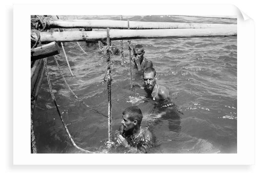 Pearl divers in the water by Alan Villiers