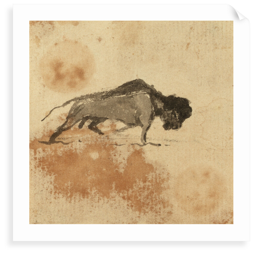 Sketch of a bison by Gabriel Bray