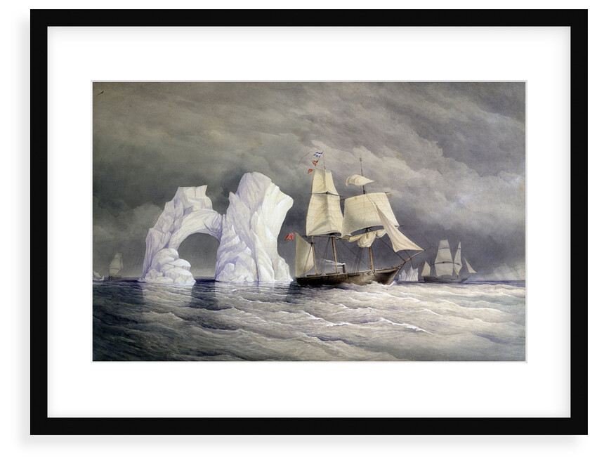 HMS 'Phoenix', 'Talbot' and 'Diligence' passing a remarkable iceberg by Edward Augustus Inglefield
