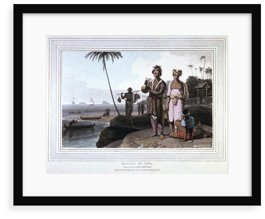 Malays of Java by Thomas Daniell