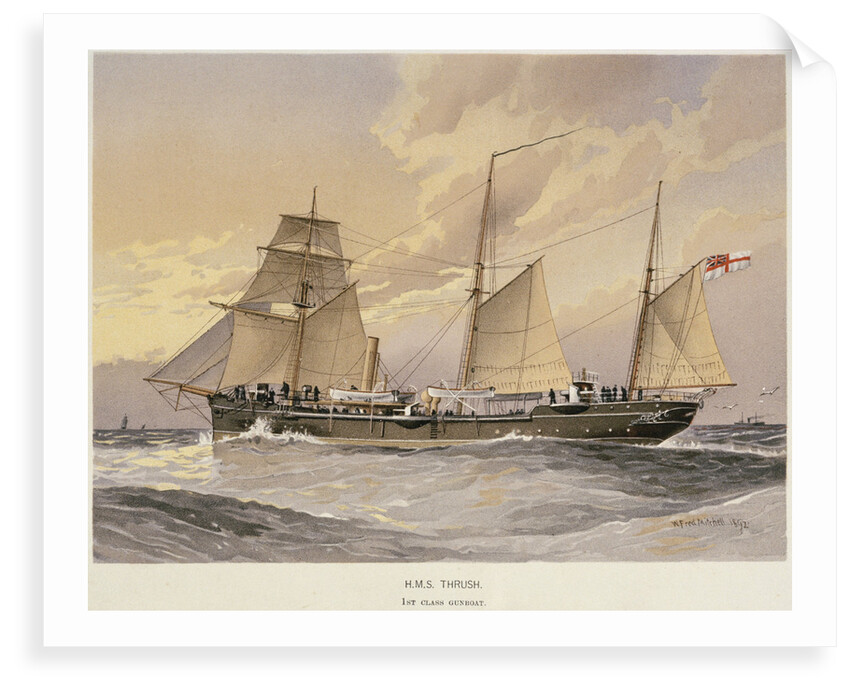HMS 'Thrush', First class gunboat by W. Fred Mitchell