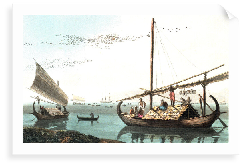 Malaye Proas by Thomas Daniell