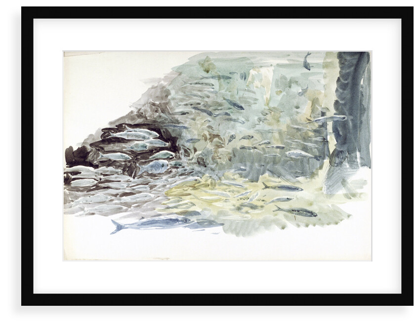 Underwater view of a shoal of fish by William Lionel Wyllie
