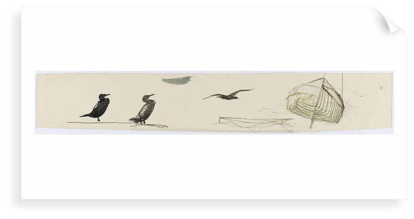 Seabirds by William Lionel Wyllie