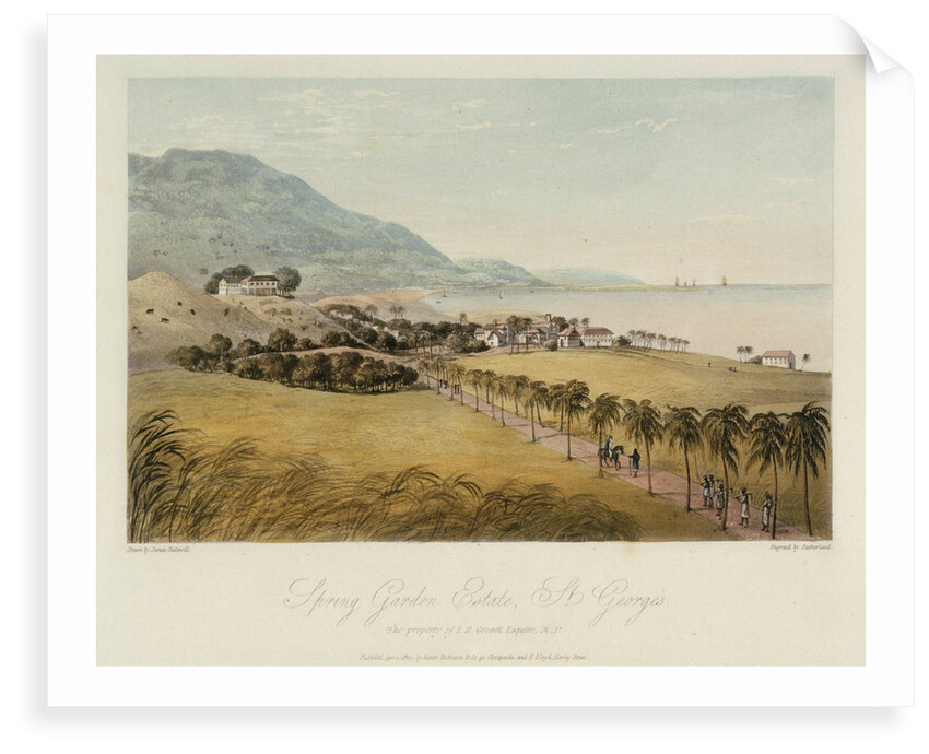 Spring Garden Estate, St George's by James Hakewill