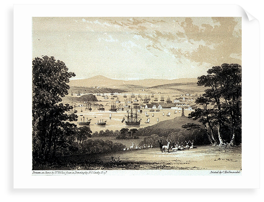 From the White Seat at Mount Edgcumbe Park Devonport. Views from the most picturesque parts of Mount Edgcumbe No.2 by Nicholas Matthew Condy