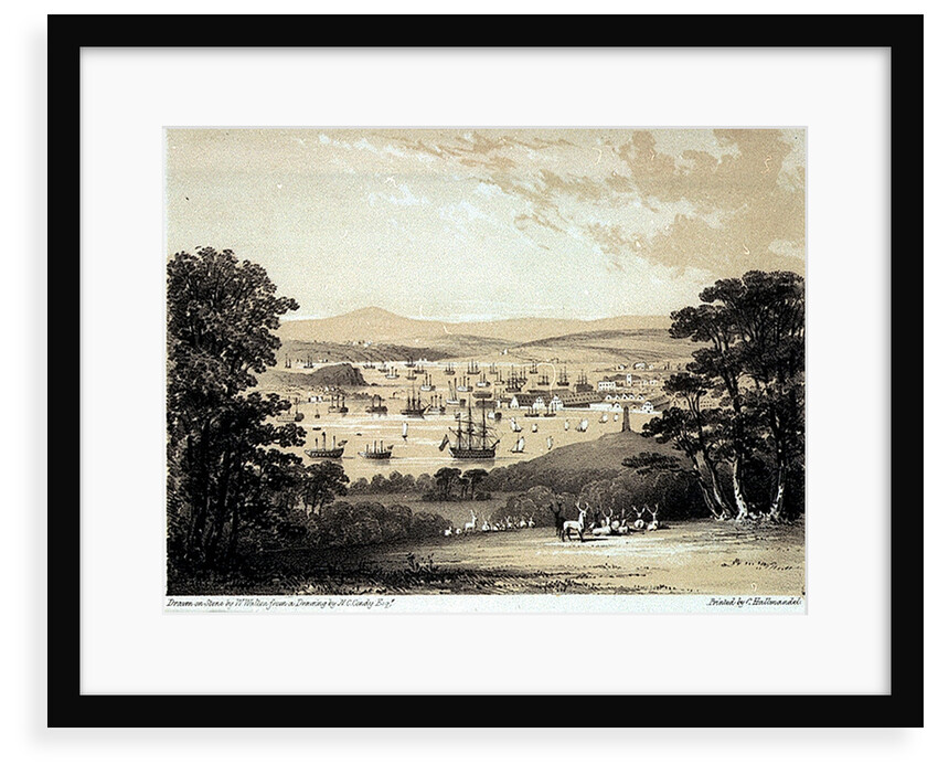From the White Seat at Mount Edgcumbe Park Devonport. Views from the most picturesque parts of Mount Edgcumbe No.2 by Nicholas Matthew Condy