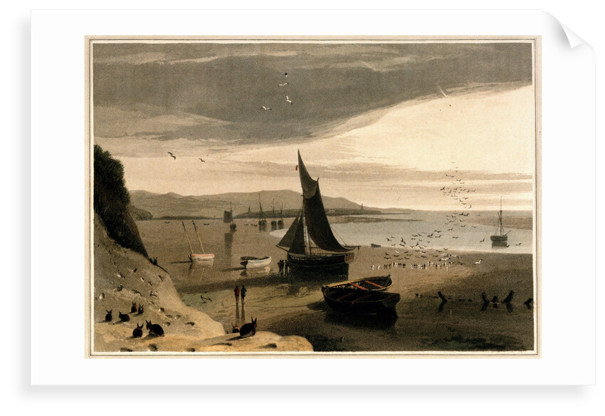 View near Hoyle-lake, Cheshire by William Daniell