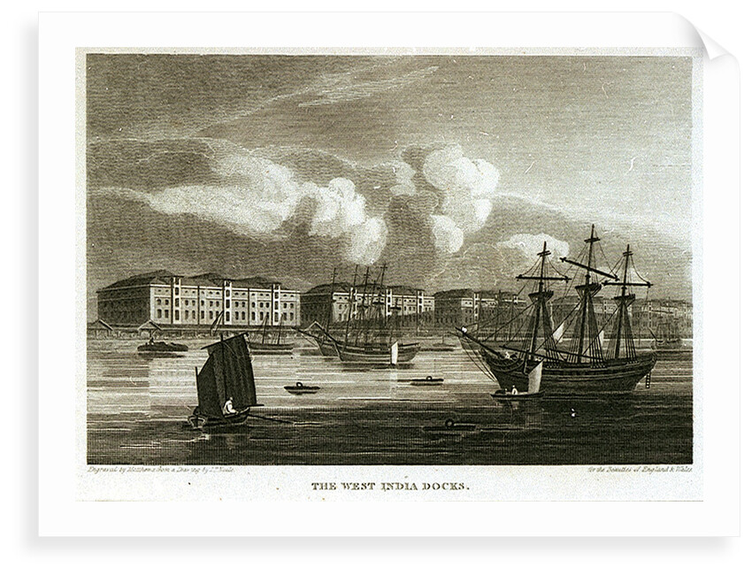 The West India Docks by Matthews
