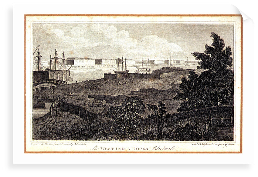The West India Docks, Blackwall. For Dr Hughson's Description of London by Robert Bremmel Schnebbelie