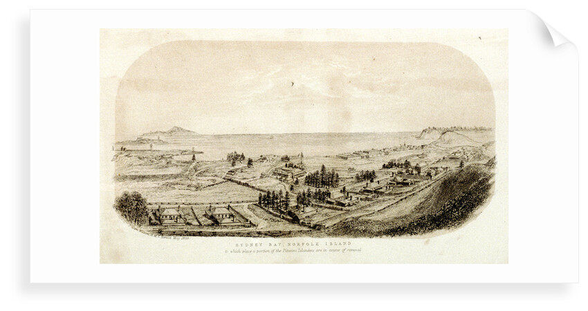 Sydney Bay, Norfolk Island to which place a portion of the Pitcairn Islanders are in course of removal by J. Glen Wilson