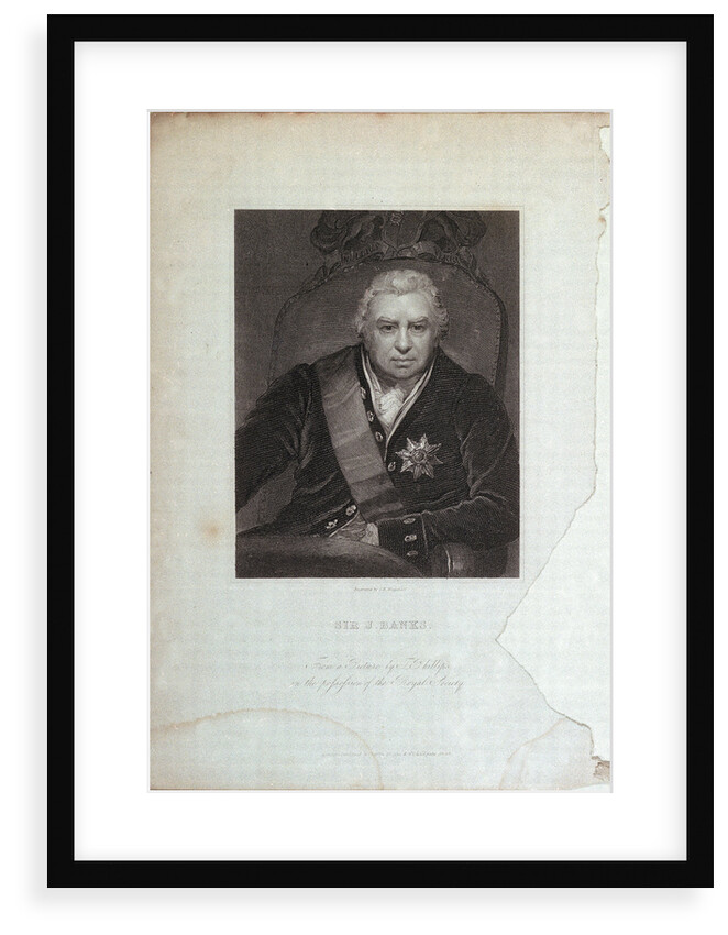 Sir J. Banks by Charles Eden Wagstaff
