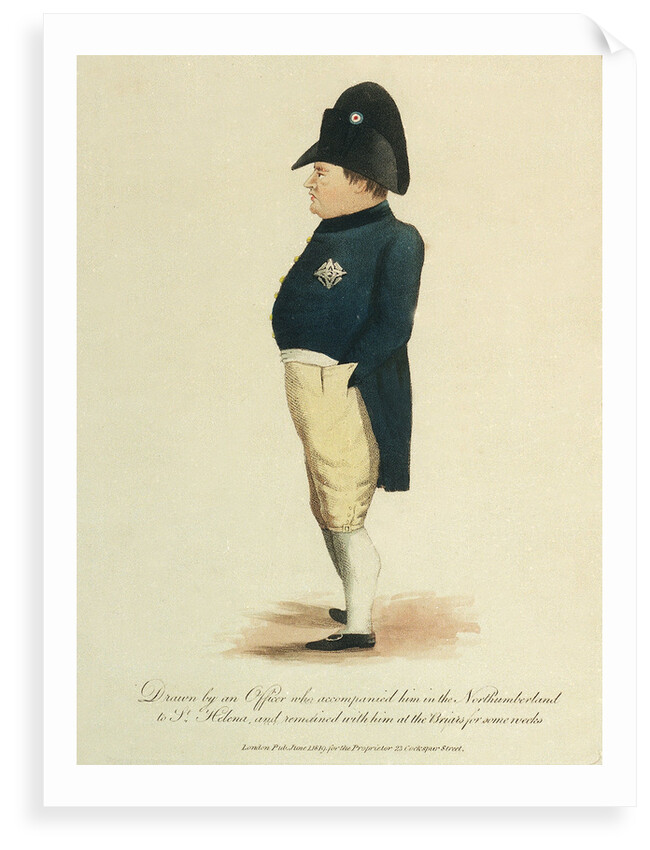 Napoleon Bonaparte by unknown
