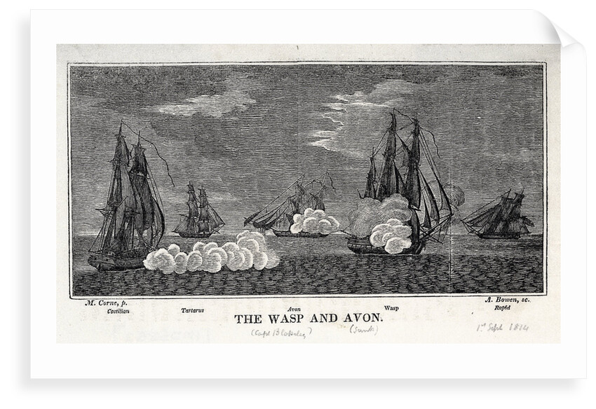 The 'Wasp' , 'Avon', 'Castilian', 'Tartarus' and 'Rapid' by Michaele Felice Corne