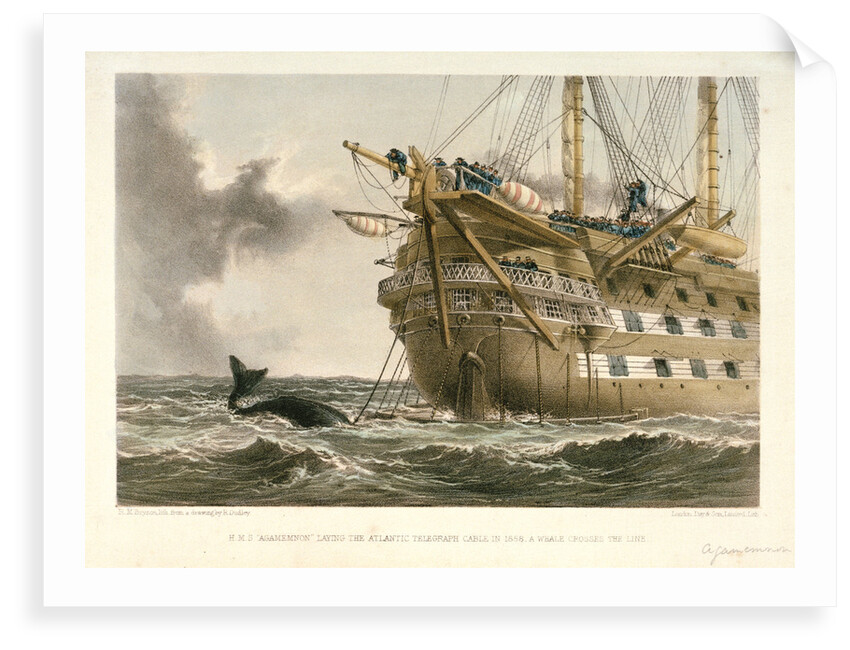 HMS 'Agamemnon' laying the Atlantic telegraph cable in 1858: a whale crosses the line by R. Dudley