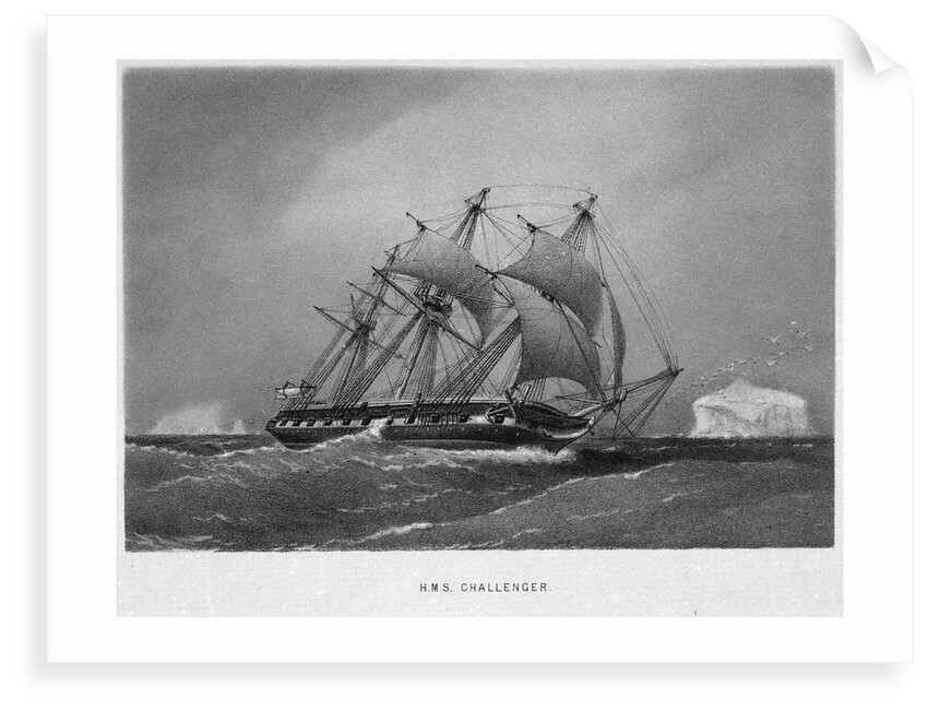 HMS Challenger by Unknown