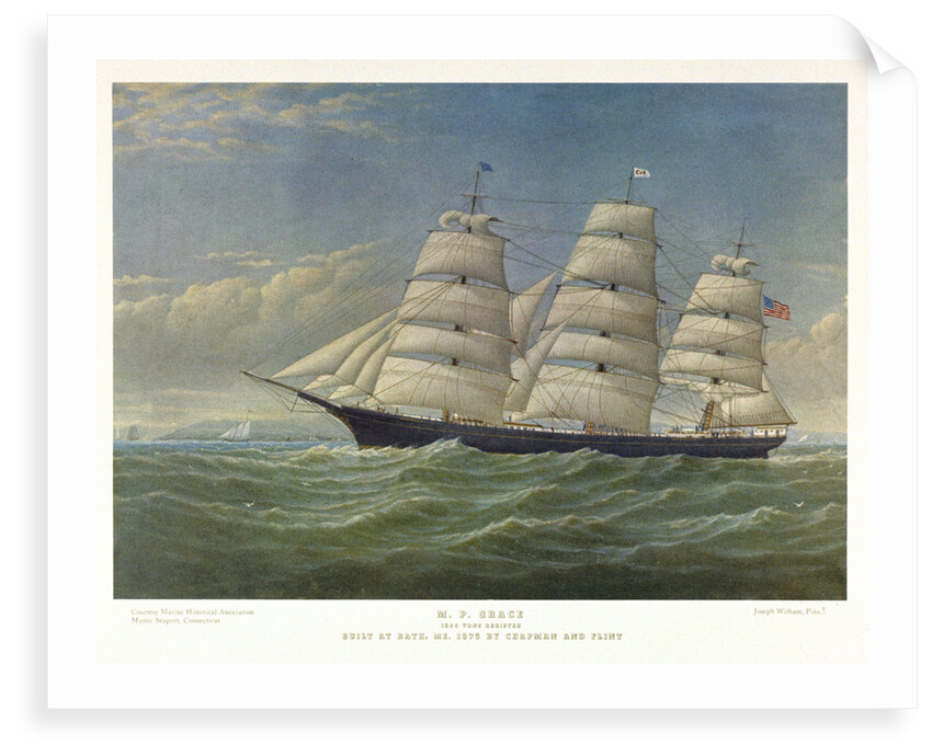 M.P. Grace by J. Witham