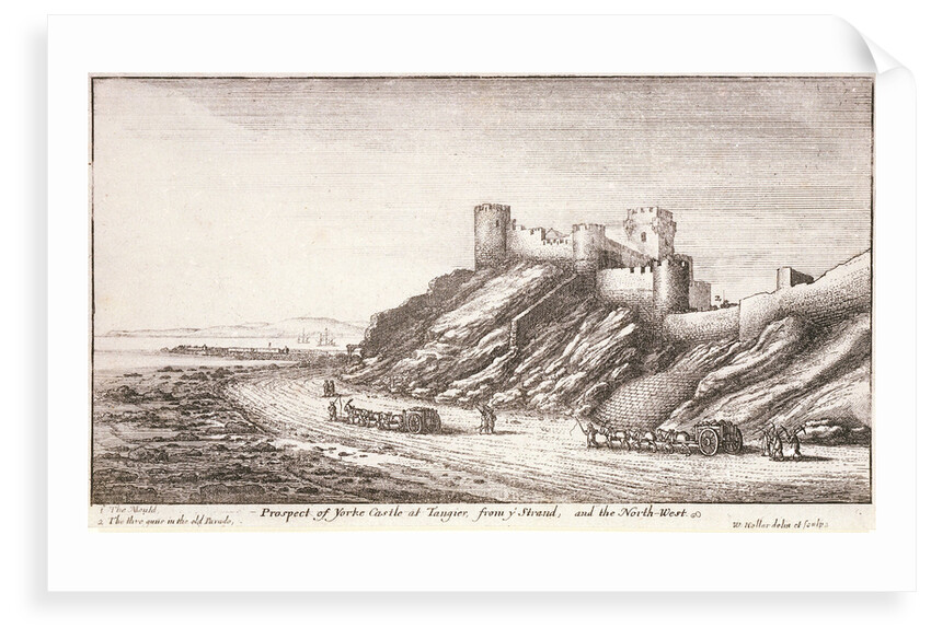 Prospect of Yorke Castle at Tangier, from y Strand, and the northwest by Wenceslaus Hollar