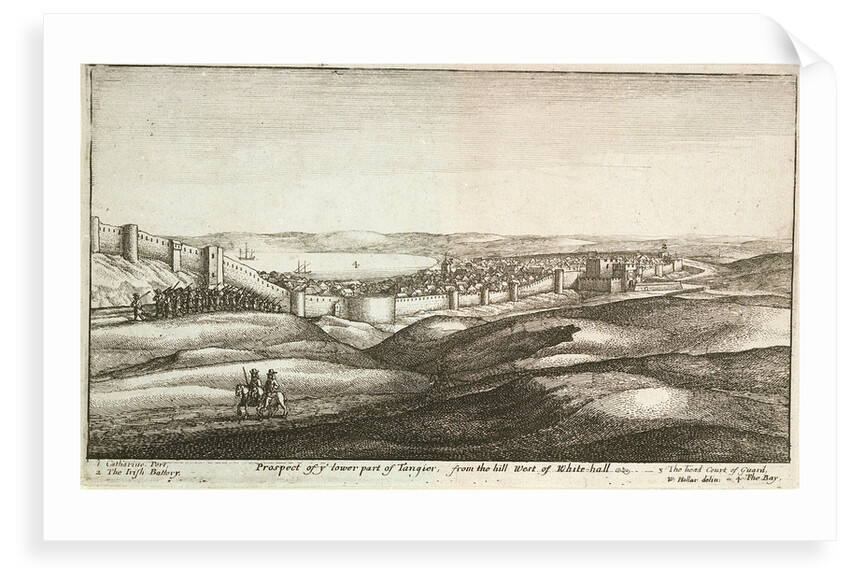 Prospect of y lower part of Tangier, from the hill west of Whitehall by Wenceslaus Hollar
