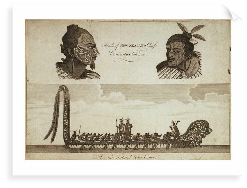 Heads of New Zealand chiefs Curiously Tatowed by unknown