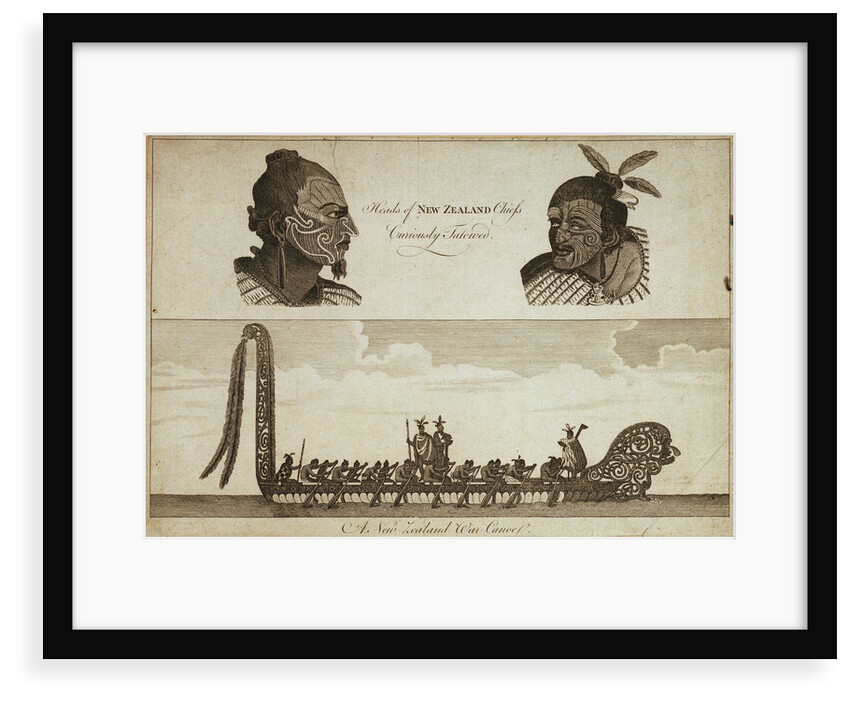 Heads of New Zealand chiefs Curiously Tatowed by unknown