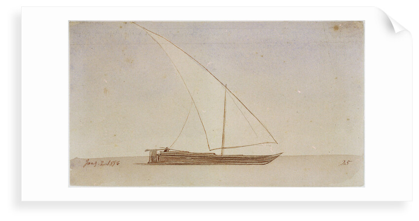 Study of a gyassis by Edward Lear