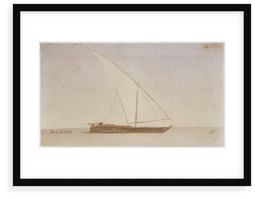Study of a gyassis by Edward Lear