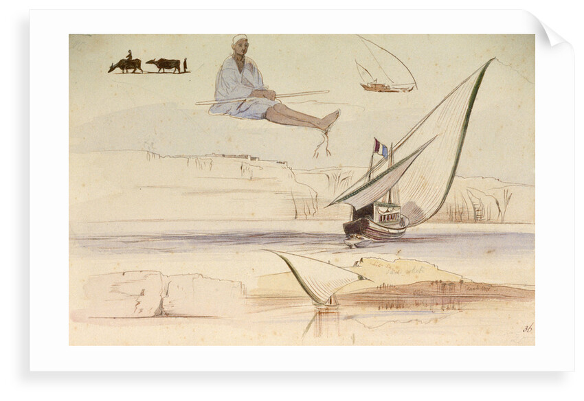 Studies on the Nile by Edward Lear