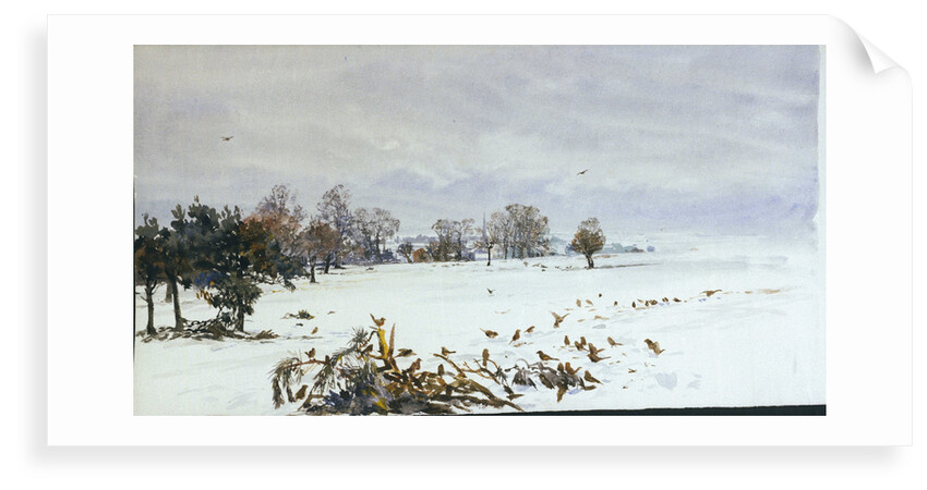 A landscape under snow with a flock of feeding birds in the foreground by William Lionel Wyllie