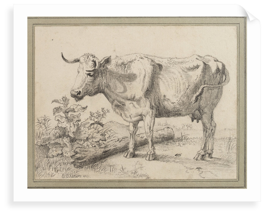 Study of a cow, after Paul Potter by Edward William Cooke