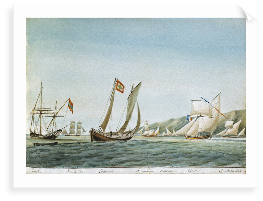 Sketch of various sorts of vessels in the Adriatic, including a zebeck [xebec], trabacolo [trabaccolo], a French courier and a gunboat settee by William Innes Pocock