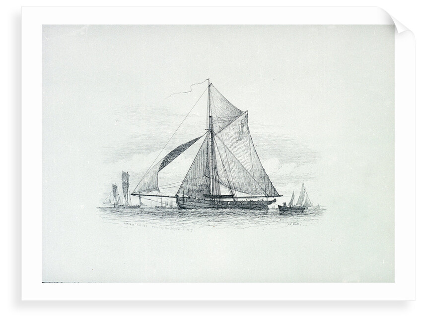 Revenue cutter protecting the Brighton Fishery by Richard Henry Nibbs