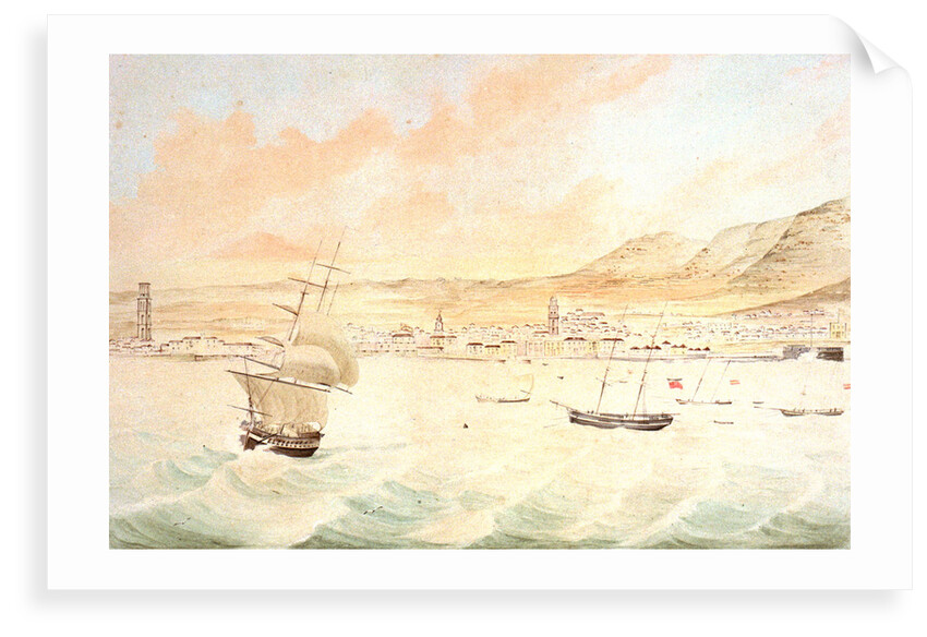 Santa Cruz in Tenerife by J. J. Williams