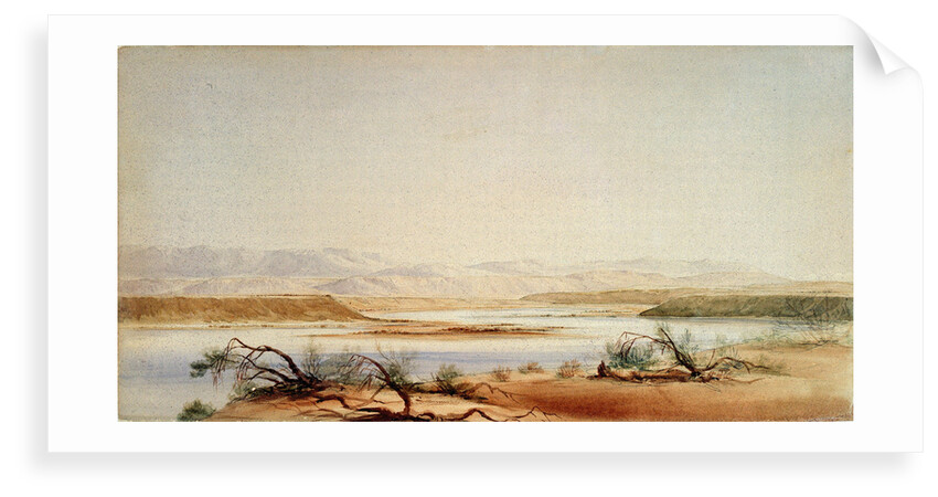 Santa Cruz River and distant view of the Andes, from the 1878 'Beagle' voyage by Conrad Martens