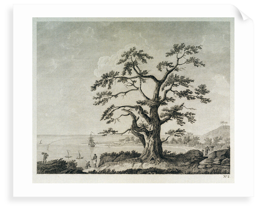 View of harbour landscape by Parkinson