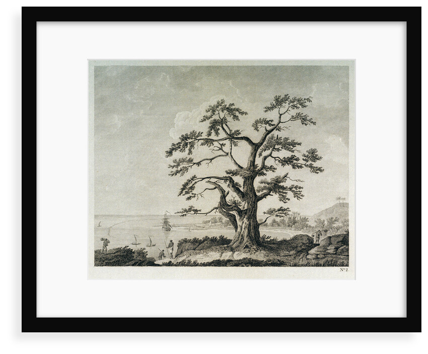 View of harbour landscape by Parkinson