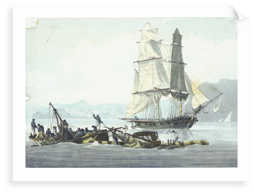 HMS sloop 'Speedy' falling in with the wreck of 'Queen Charlotte', 21 March 1800 at Leghorn by unknown