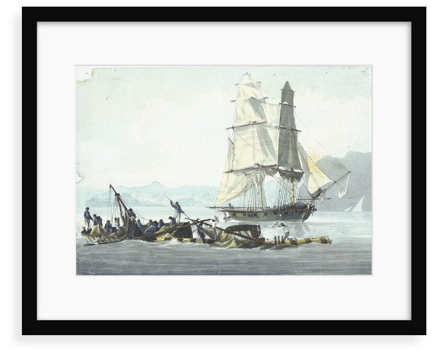 HMS sloop 'Speedy' falling in with the wreck of 'Queen Charlotte', 21 March 1800 at Leghorn by unknown