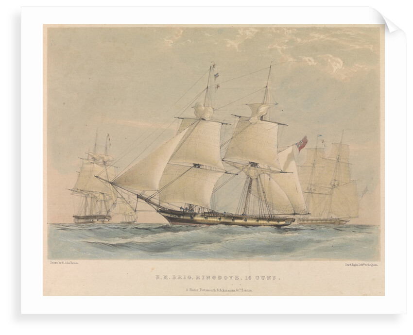H.M. Brig 'Ringdove' 16 guns by H. John Vernon