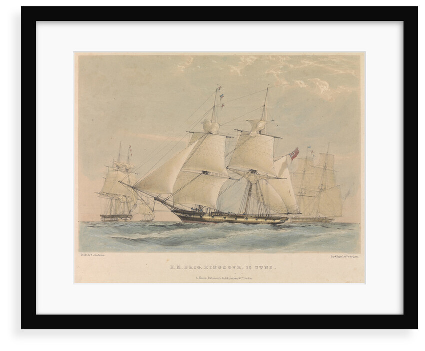 H.M. Brig 'Ringdove' 16 guns by H. John Vernon